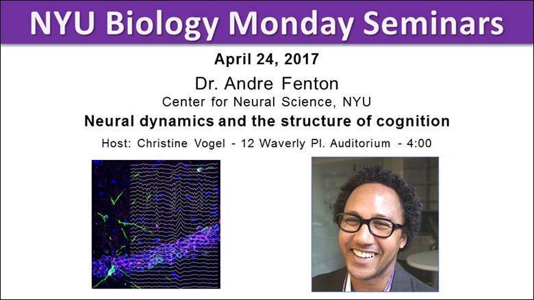 NYUGenomics's tweet photo. Monday Seminar Series: 4/24 at 4pm w/ Dr. Andre Fenton from NYU's CNS. Open to the public &amp; reception after! https://t.co/JoTMRWKHqf