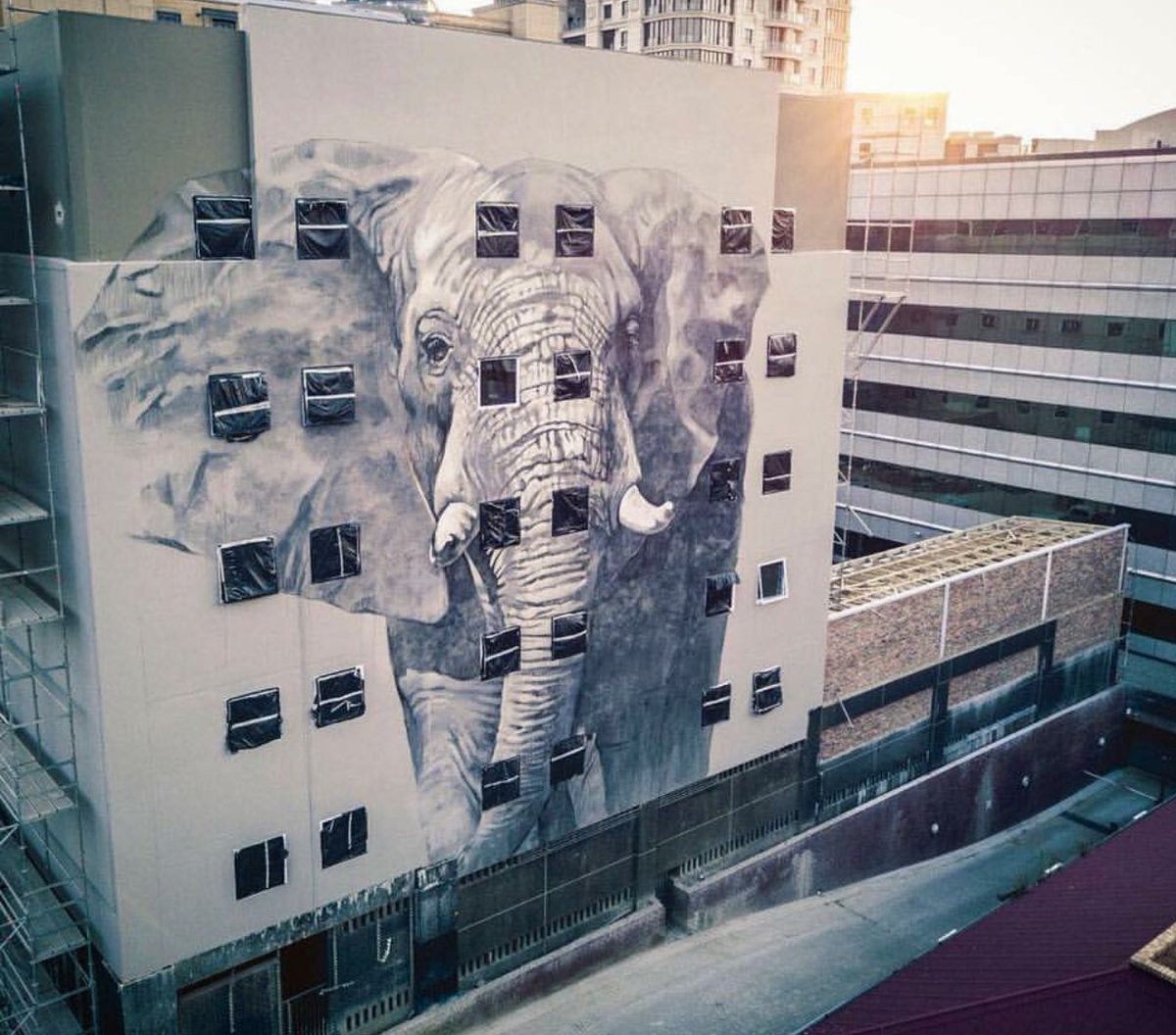 Amazing mural by @_faith47 in #johannesburg #southafrica #contemporaryart #streetart #art #streetarteverywhere