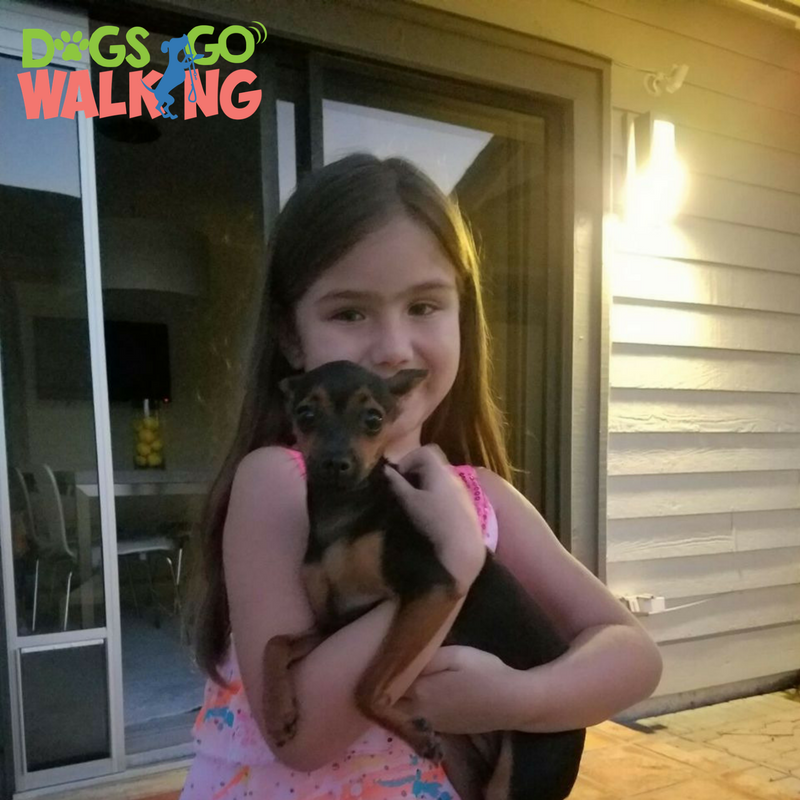 DogsGoWalking's tweet photo. Happy National Kids and Pets Day! Dynamite here loves children, and usually children love him back even more! https://t.co/bY8CV6H8Xy