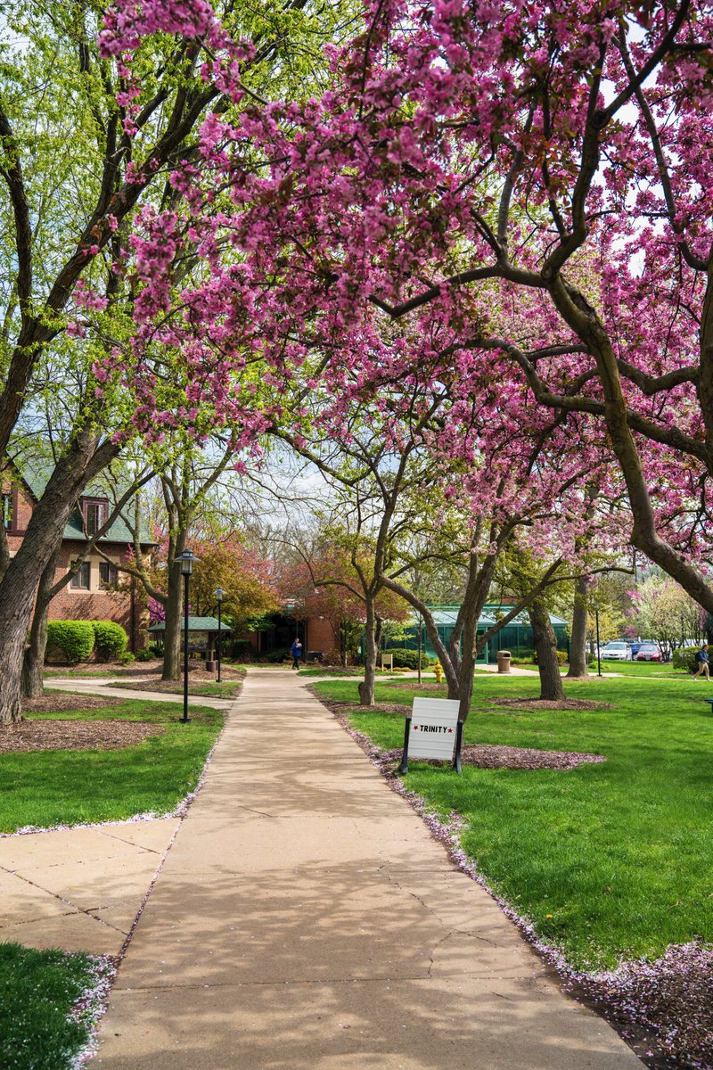 TrinityTroll's tweet photo. What a beautiful day on campus welcoming our visit day guests! Be sure to check out the play tonight at 7:30pm. Link in bio #trinitytrolls https://t.co/qmdQ8ZrqV2