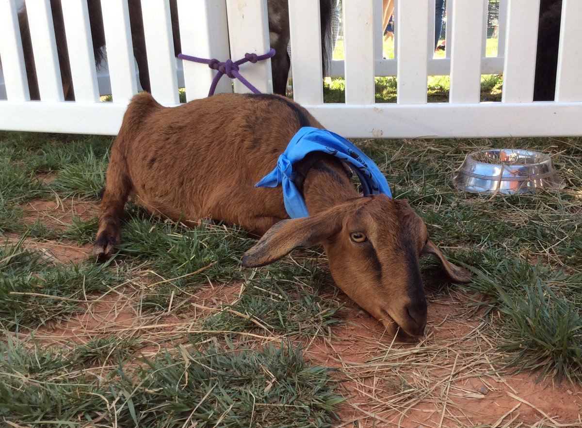 Jimmy Stevenson tweet media