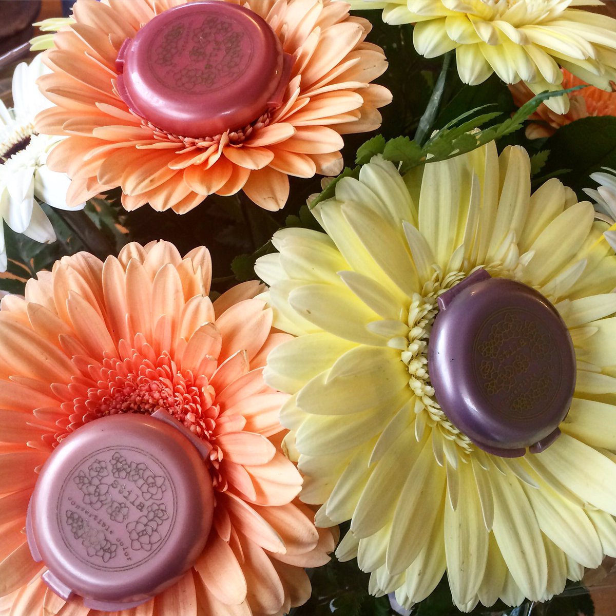 Stila blushes are blooming! #stila #makeupartist <a href="/stilacosmetics/">stilacosmetics</a>