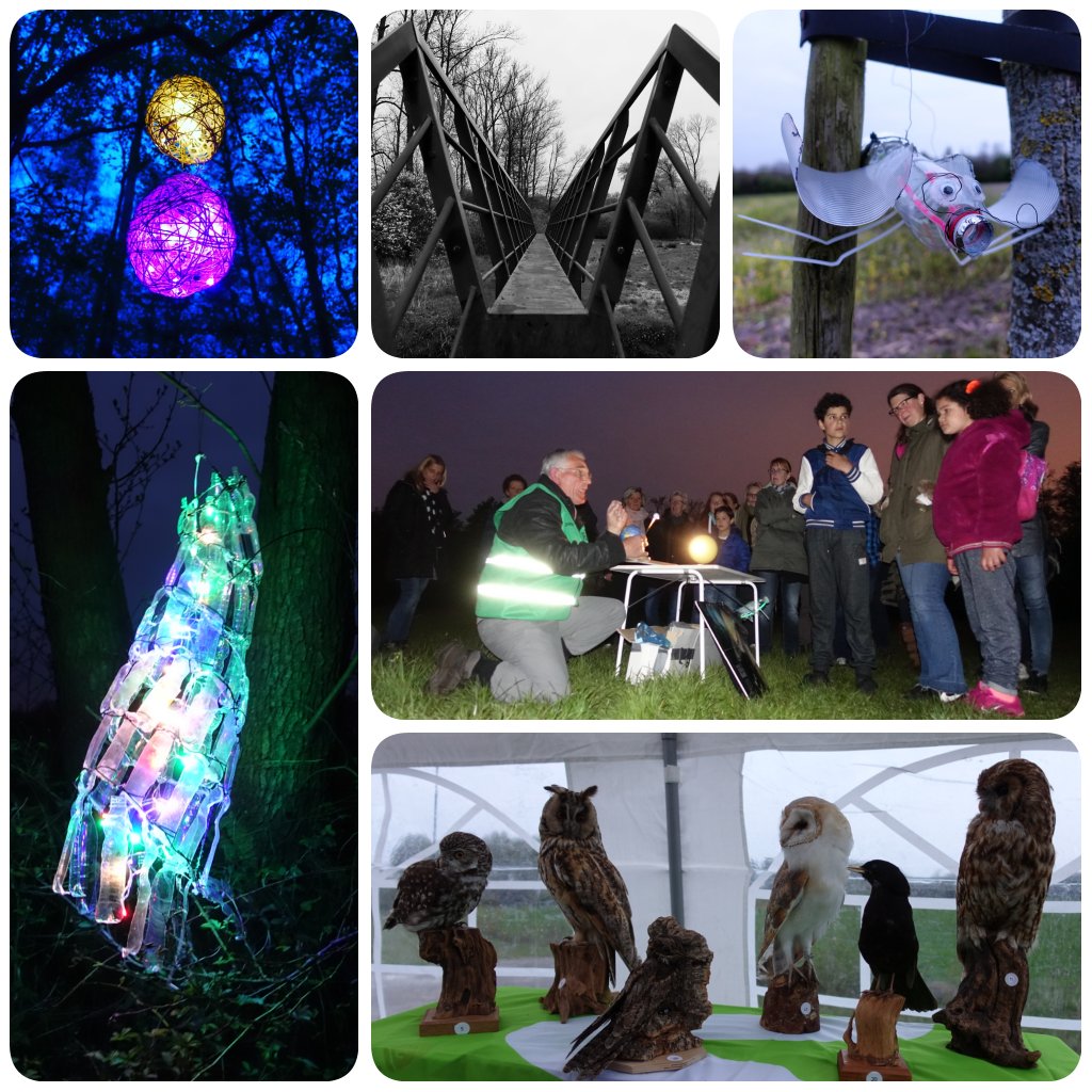 WouterDielissen's tweet photo. #wandelweek #Valkenswaard. Mooie avondwandeling samen met collega's #Verberkmoes @HetGoedeGevoel #wandelgemeentevanhetjaar https://t.co/F3CjiZcm7m