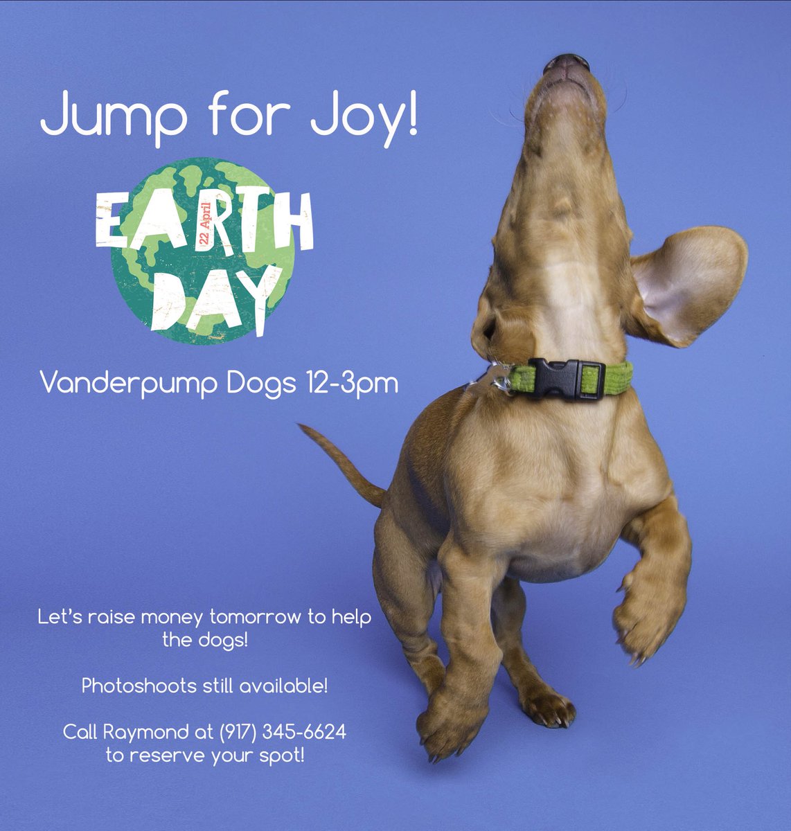 VanderpumpDogs's tweet photo. 🌎 Come celebrate Earth Day this Saturday at Vanderpump Dogs &amp; get your pooch photographed! 💕🐶 #VanderpumpDogs #EarthDay https://t.co/gKF5XmcLlg