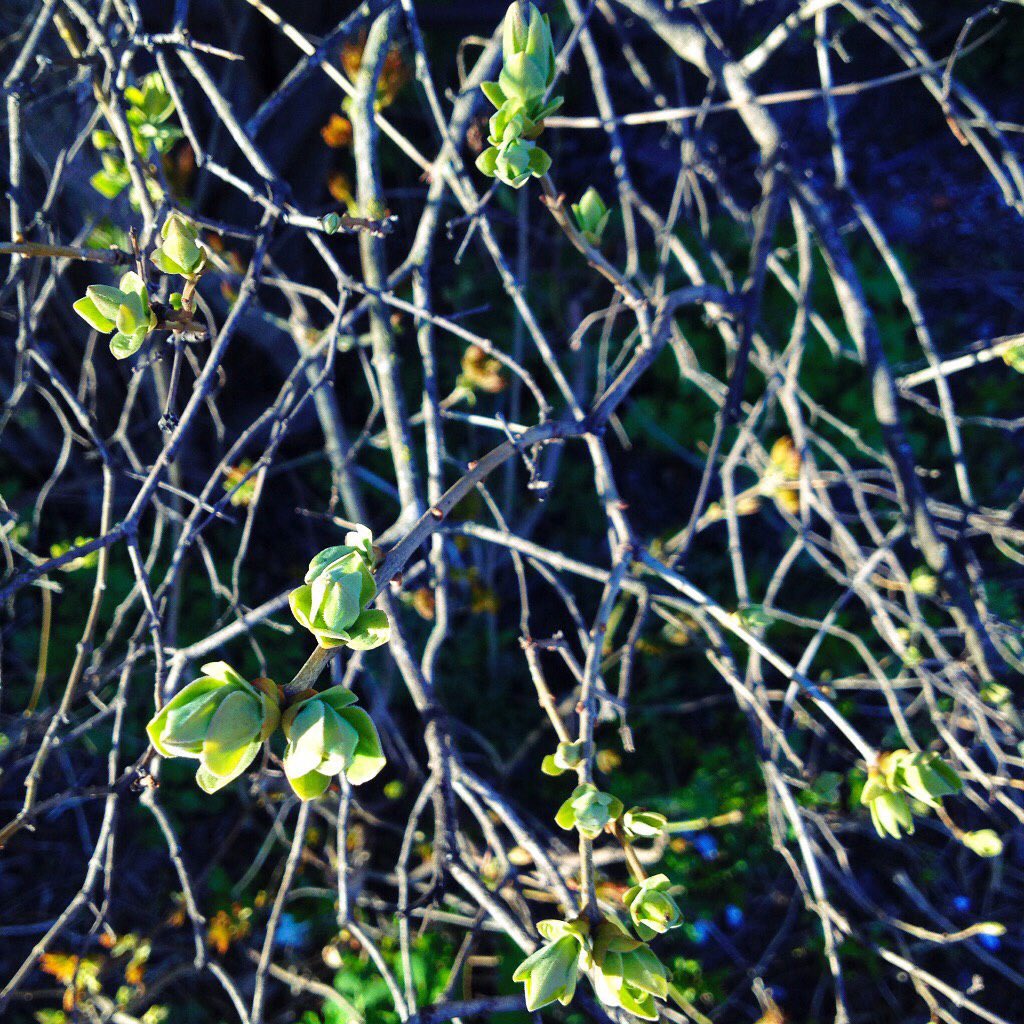 Vicatorios's tweet image. Если бы только мы снова могли стать незнакомыми друг другу...