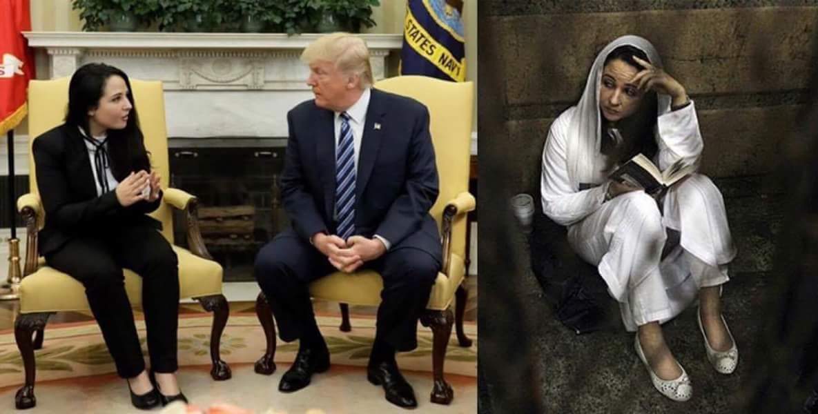 EGYPTREVO2018's tweet photo. آيه حجازي بباسبور امريكي، خلت ترامب يأمر السيسي بالافراج عنها، دا الدكر اللي منيم امريكا من المغرب، السيسي أمر بالافراج عنها طبعا قضاء شامخ✋ https://t.co/Plk6YJVTuK