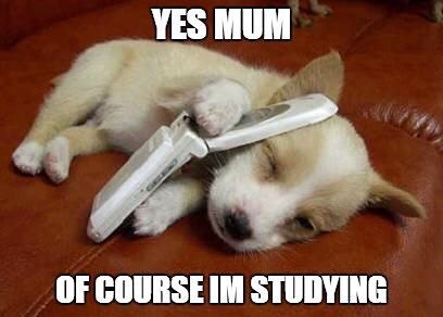 FinalGradeCalc tweet picture