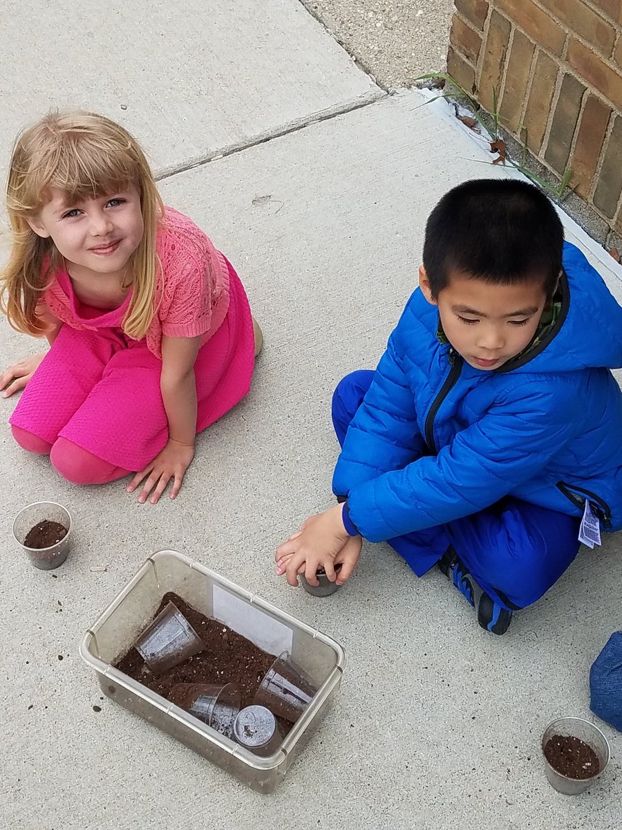 mrsmeiers_class's tweet photo. We had fun learning about how to take care of the earth and planting our own truffula trees today @A2_Logan https://t.co/i3KBb2WTcQ