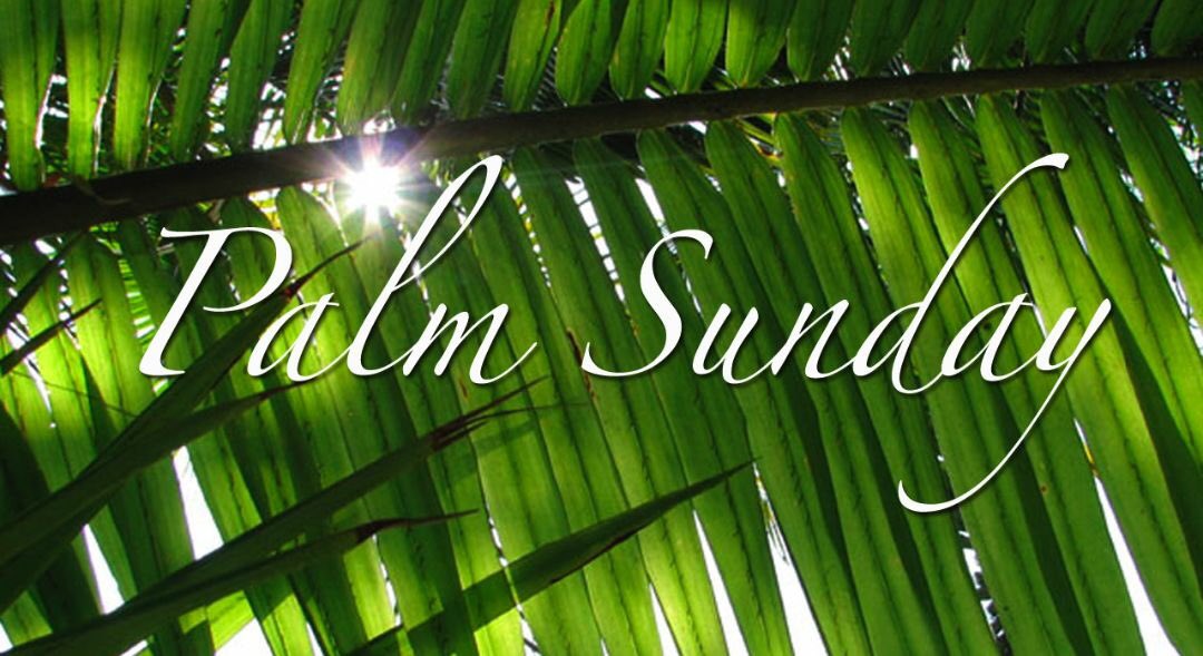CathSchoolsCC's tweet image. Wishing everyone an amazing Holy Week! #cathschoolscc #palmsunday #HolyWeek