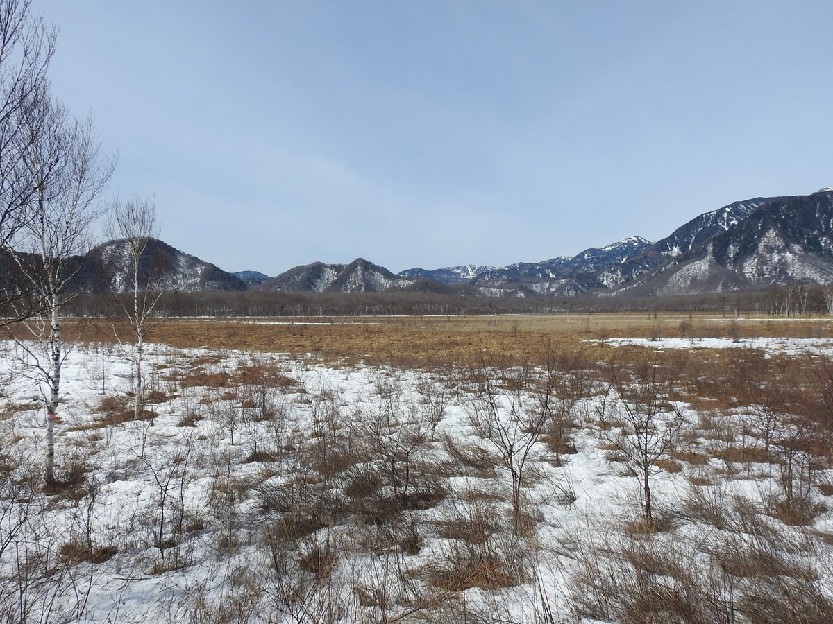 Twitter पर 三本松茶屋 4月10日 月 10 05現在の戦場ヶ原 三本松茶屋 付近の気温は6 天気は晴れです 昨日の雨で雪解けが進んだ奥 日光ですが 日当たりの悪い場等ではまだ残雪が多く 足元に注意が必要です 画像は 三本松にある戦場ヶ原展望台からの今日の眺め