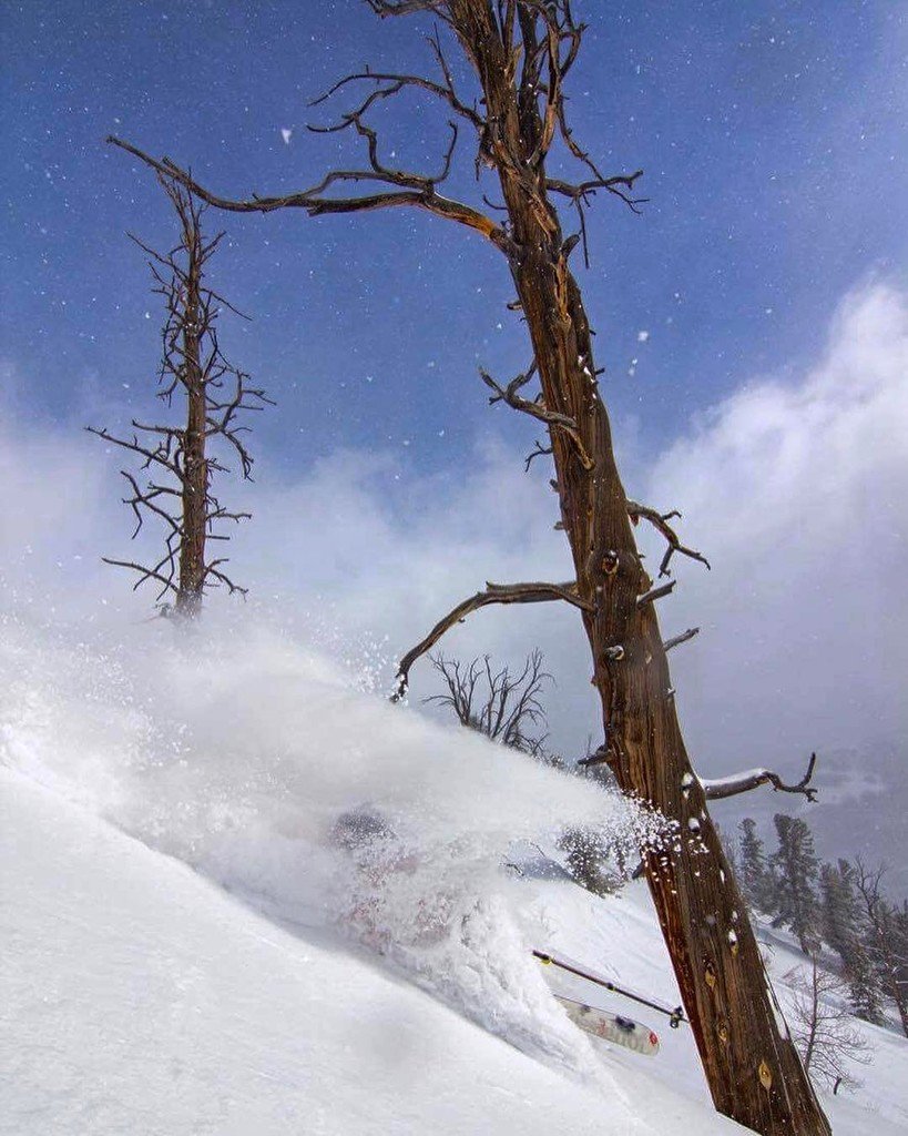 SolitudeMTN's tweet photo. Finishing the 2016/2017 season strong. | Photo Credit: @daxspix 4/9/2017 Skier: Sean Murray | #FindSolitude #bigcottonwoodcanyon #SkiUtah #… https://t.co/Y41JHIdjbG