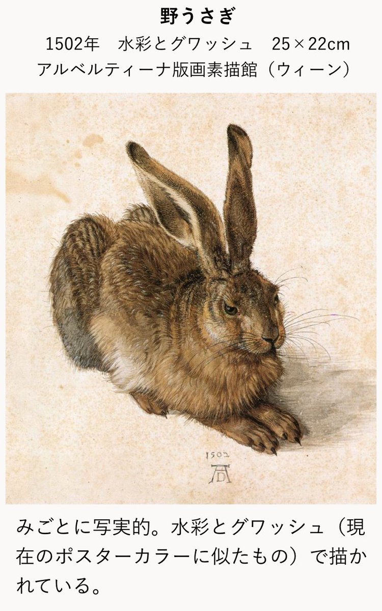 アルブレヒト・デューラー水彩画「うさぎ」複製画