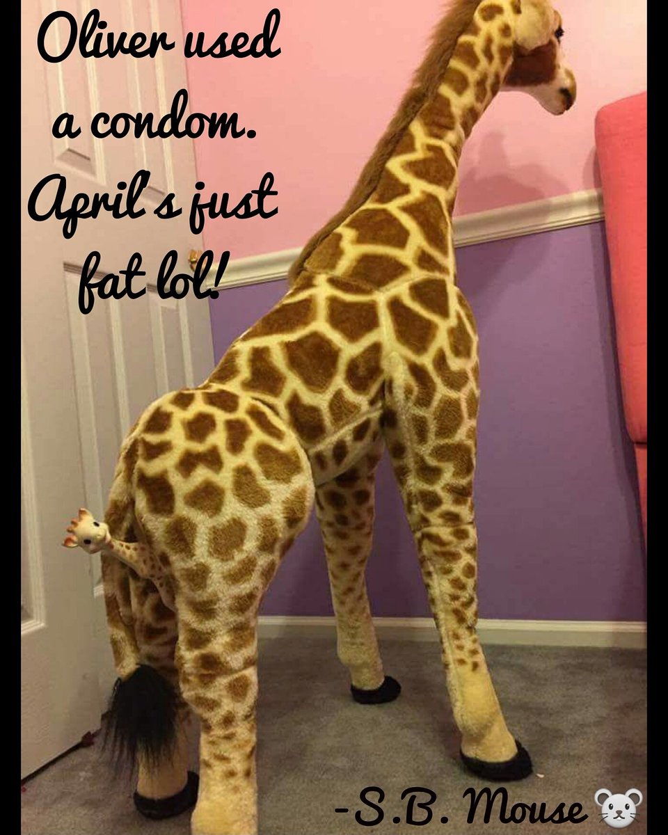 TheSBMouse's tweet photo. #aprilthegiraffe #april #giraffe #pregnancy #pregnant #oliver #Parenting #babygiraffe #baby #condom #fat #funny #memes #TheSBMouse 🐭 https://t.co/r5WaCrIHGu