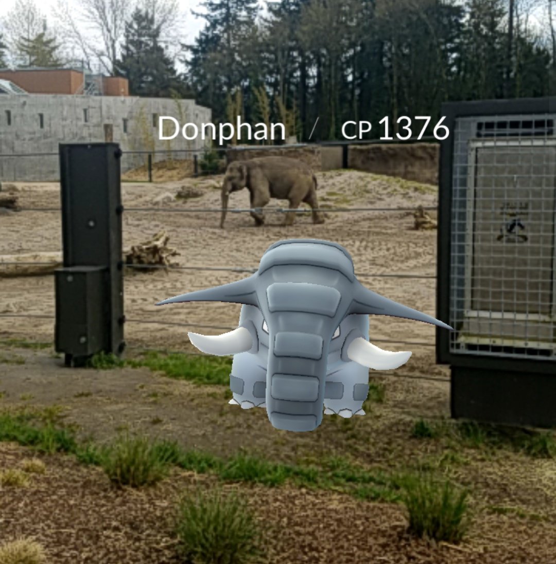 Yoshi1up's tweet photo. At the Zoo~ Found a Donphan next to the elephants!! #PokemonGO https://t.co/y76VzpqhiF