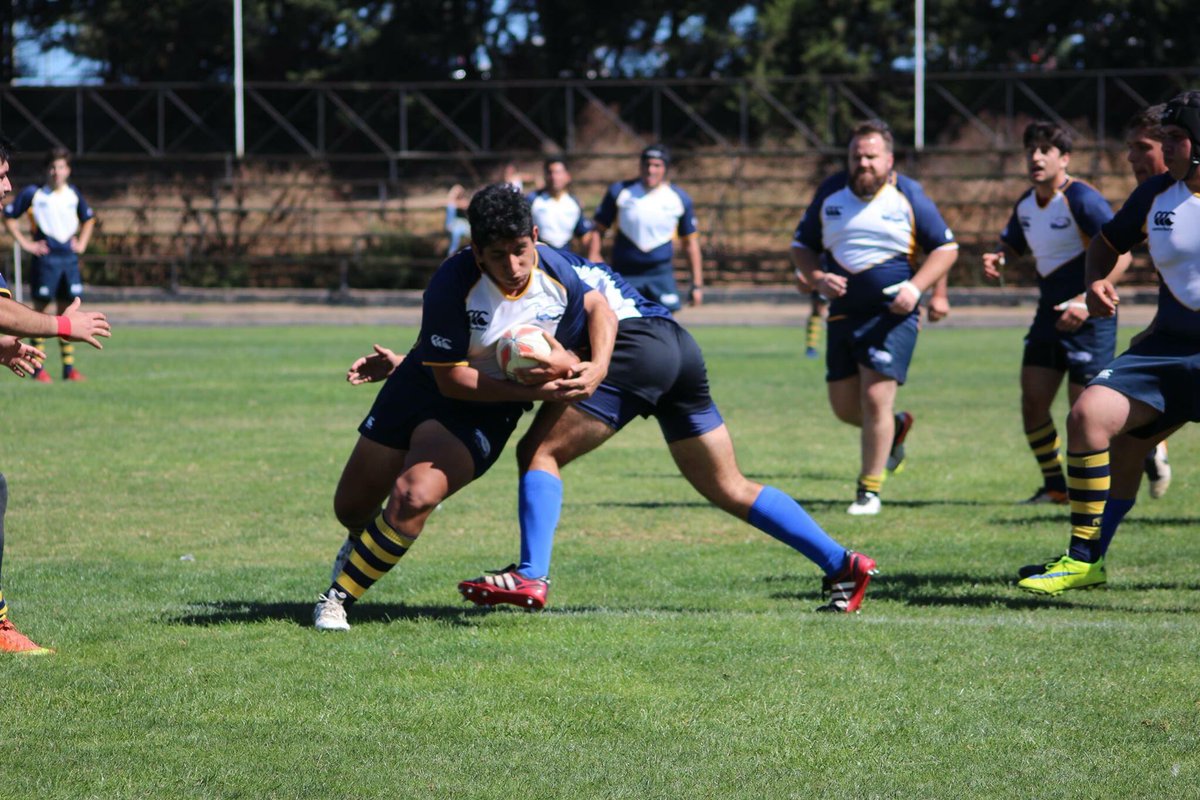 DVCrugby's tweet photo. Siempre para adelante! #vamoslince @RevistaRugbiers https://t.co/jxiBkOBm7G