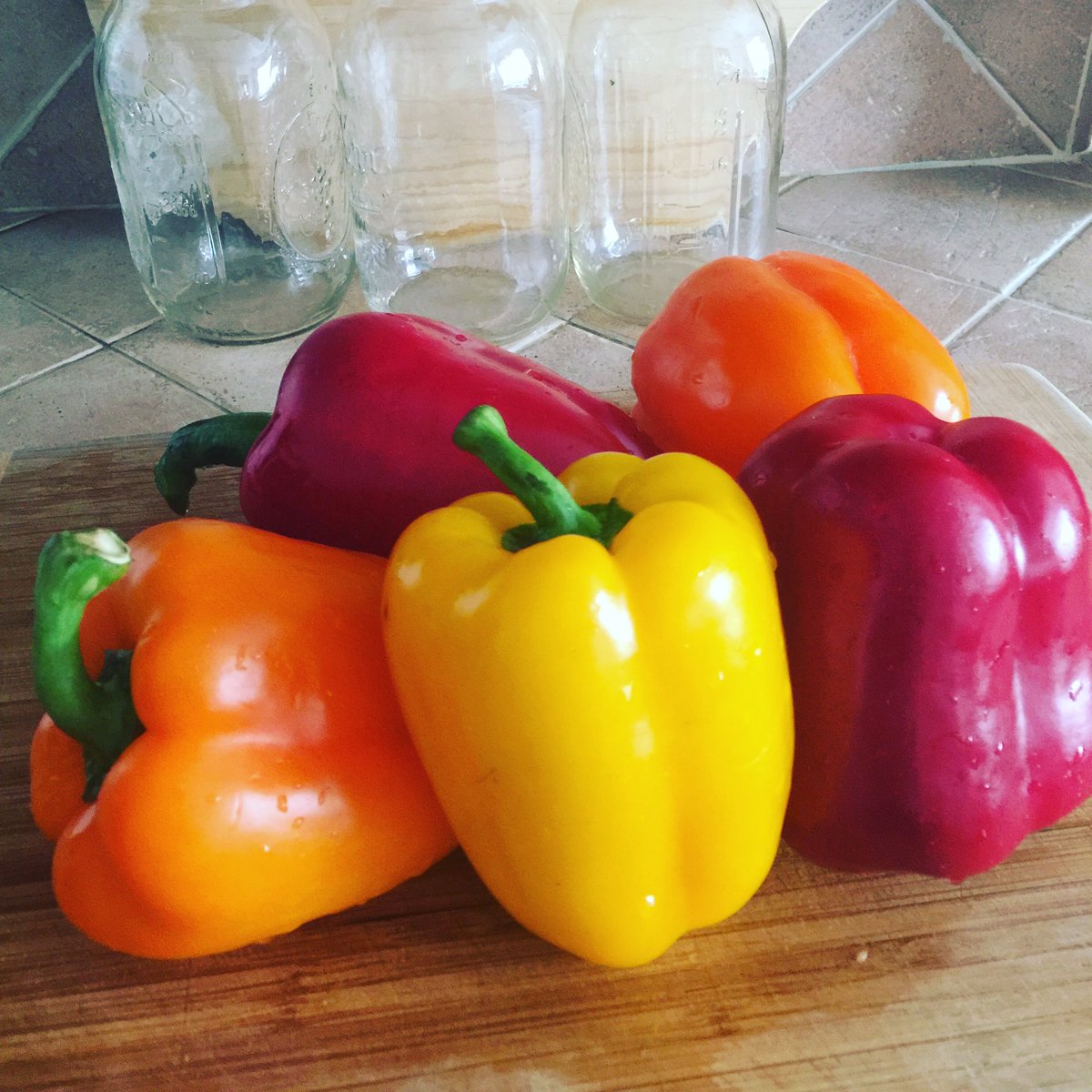 StacyeBranche's tweet photo. The beginning of the 
#crispypeppers  #rawfood #healthysnacks @naturesfreahfare #livingfood #organic #vegan #rawvegan #dehydratedfood https://t.co/VFIabTExtE