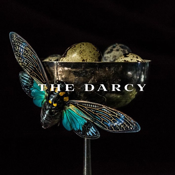 IdeaWorkStudios's tweet photo. Naming, branding, design, copywriting, and web development work for The Darcy, a new boutique hotel in Washington, DC.
✨ https://t.co/TkzsbrtwZ1