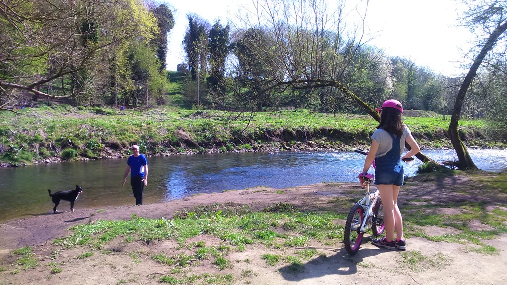 Dawnmag79's tweet photo. @ysgolbryncoch Lovely spring time walk at Alyn Waters in the sun #Springhomework https://t.co/n80UQAdKuT