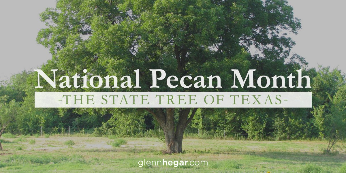 glenn hegar on twitter the pecan tree was established as the