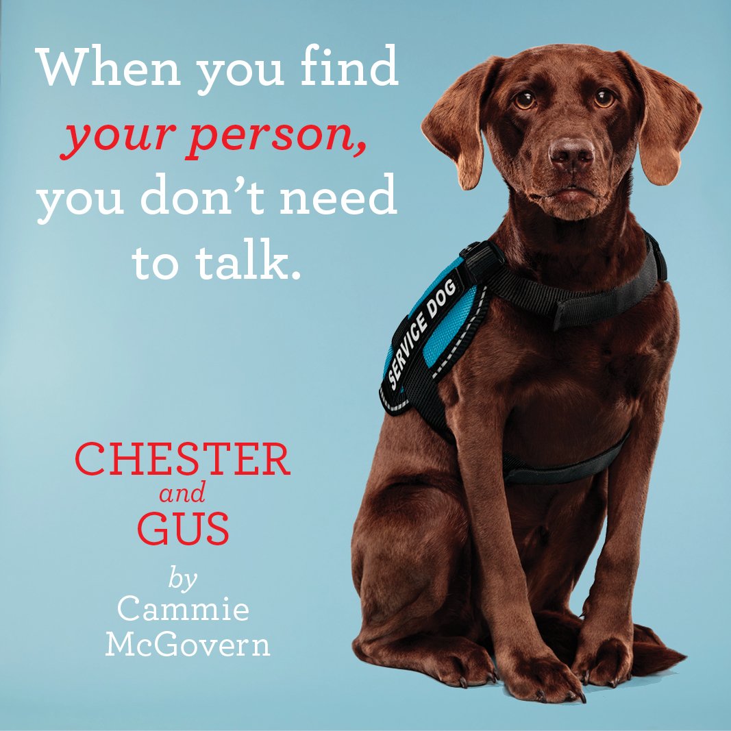 USA book cover USA book cover