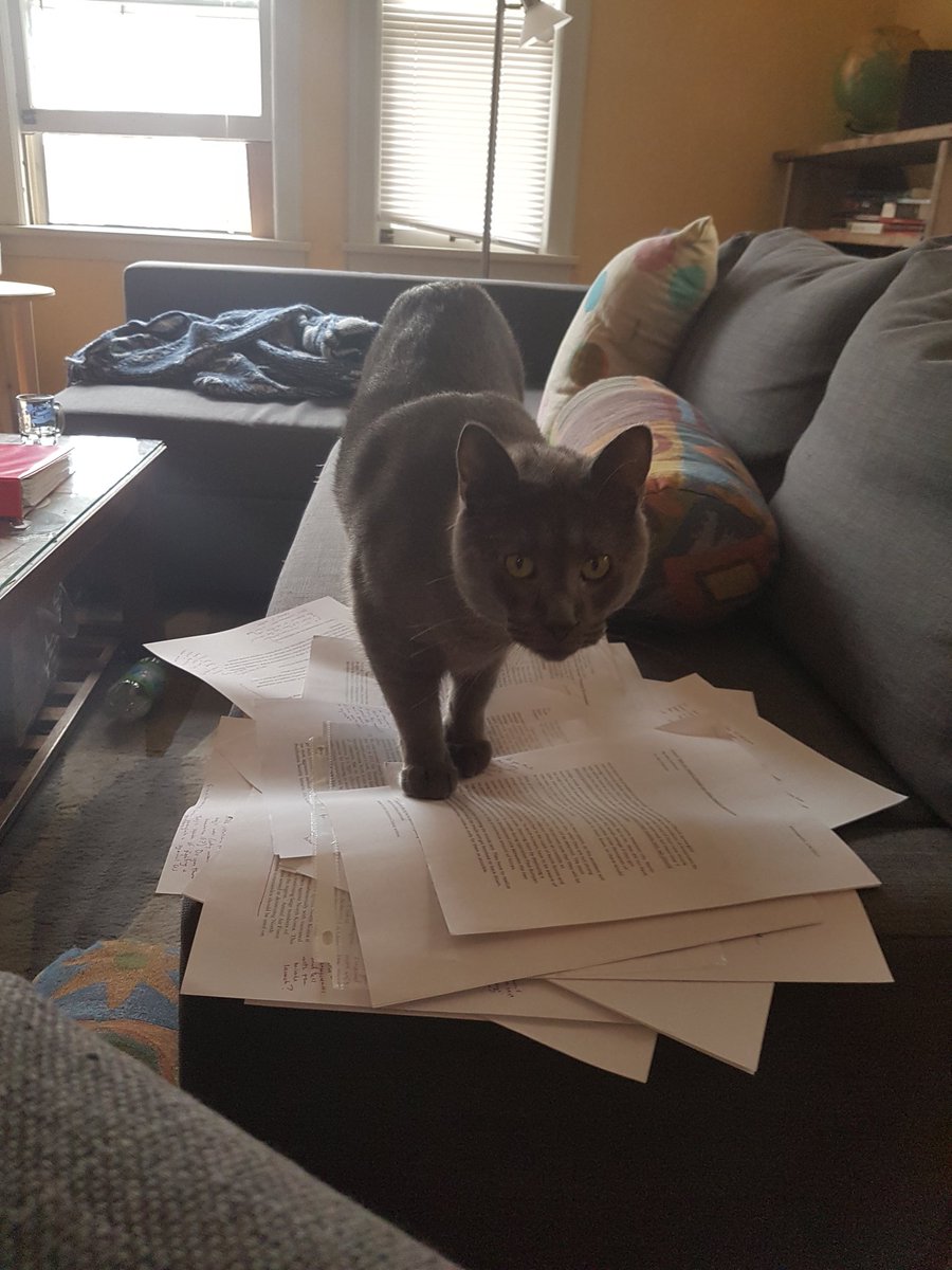 NihilistABDcat's tweet photo. These papers.... https://t.co/38vs7BwKal