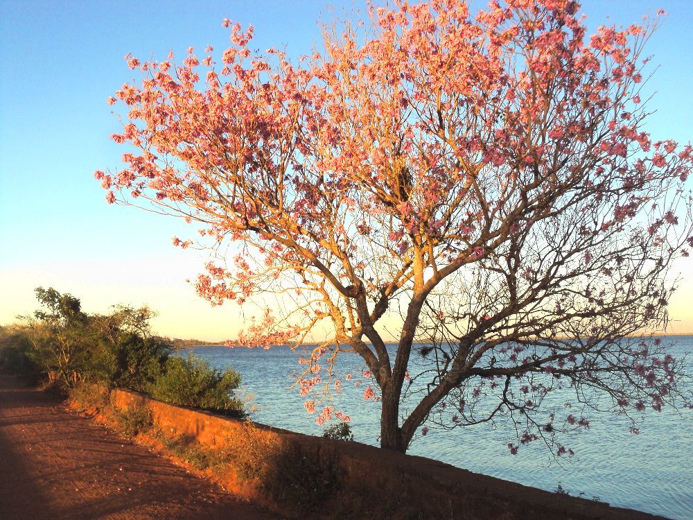 PROMOCIONES Mayo y Junio
Promociones ibera Full
Aventura + naturaleza + paquetes + descuentos + esteros del ibera con ibera full...