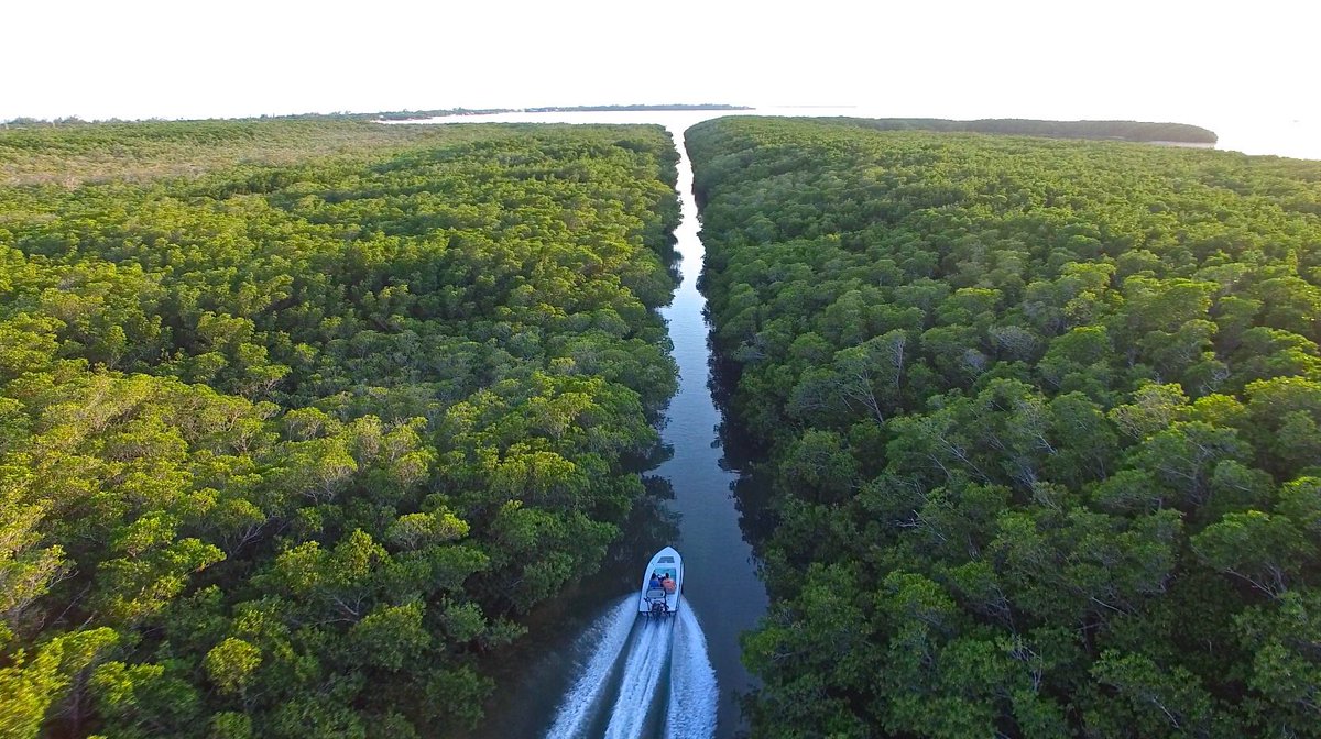 silverkingstv's tweet photo. Runnin' the ditch. #silverkings #islamorada #fishthelegend #builtforthewild #seadeked #divein https://t.co/55nGDAiB1c
