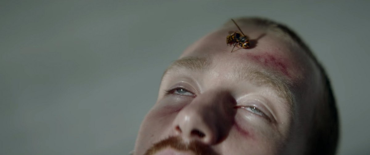 Striking visuals for <a href="/Sofie_Letitre/">Sofie Letitre</a>'s track “Elevate” by Belgian director Tobi Jonson > booo.ms/sofie-letitre-…