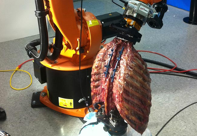CleClinicMD's tweet photo. Surprising findings from thoracic spine biomechanics studies with intact rib cages https://t.co/F01akyQkts https://t.co/GE6ZrPXPU6