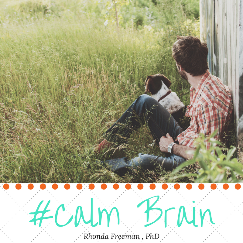 NeuroInstincts's tweet photo. One of the many benefits of nature ... a calming effect on the brain #nature #brain #serotonin https://t.co/aFH7WOoVAP