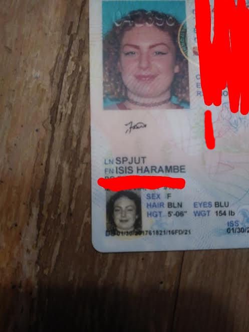 View image on Twitter View image on Twitter