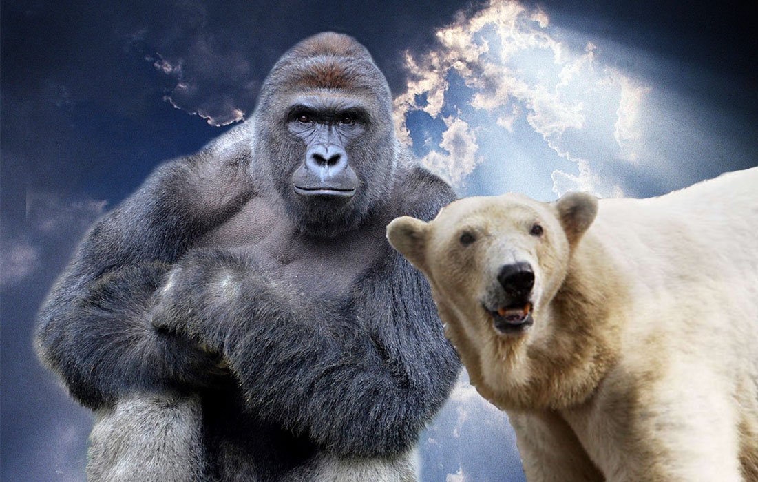 Sean Walker tweet media