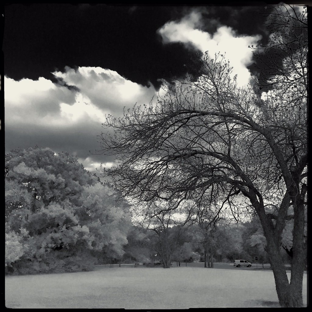 evtonic3 tweet media