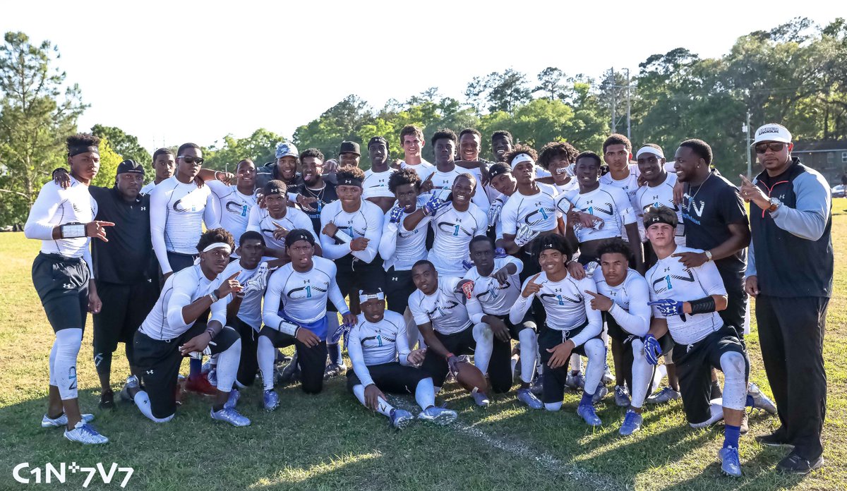 cam newton jersey champs