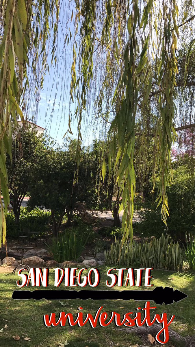 sierranaomi_'s tweet photo. Also let's take a minute to appreciate this campus 😍 #NOFILTER @SDSU @PRSSASDSU @PRSSAinSD #PRSSAinSD https://t.co/JhszA1dKiO