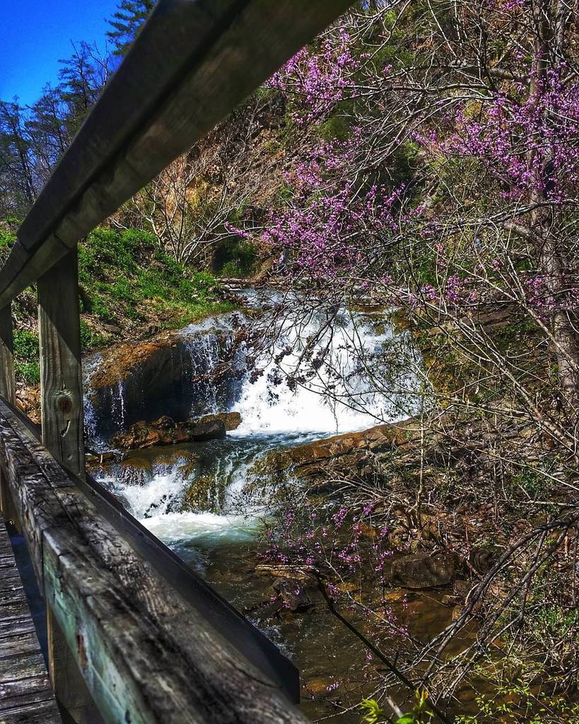 _Mia_Bella's tweet photo. Walking today, the scenery was beautiful!!! #walkingdate #steelecreekpark #godscreativebeauty #thomaslovesaudra #jesuslovesyouthemost https://t.co/OAfF9e097t