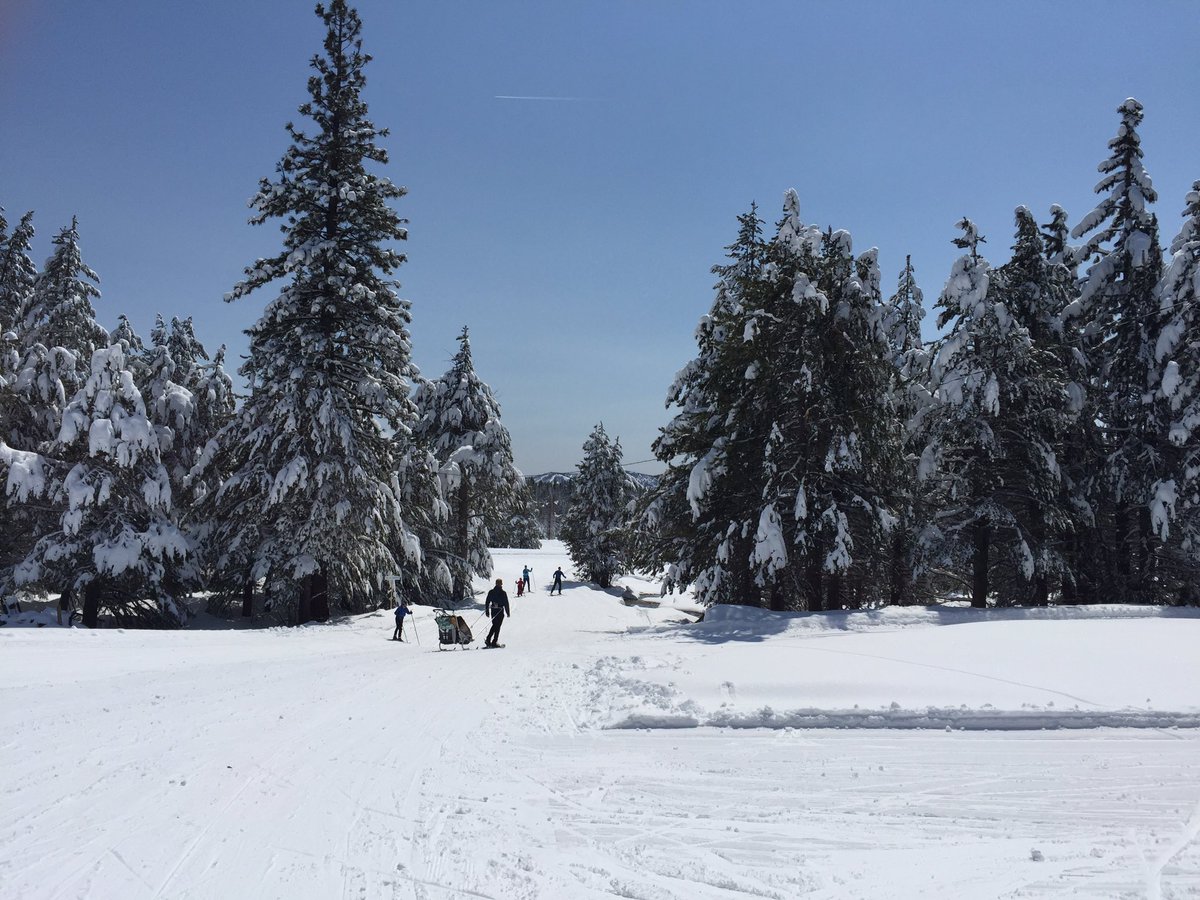 kttalkstahoe's tweet photo. Outstanding day at Tahoe Donner Cross Country today. #SpringInTahoe #BlueBird https://t.co/x6oSIGR0xD