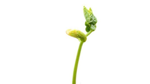 LotusLight's tweet photo. 10 ways to #Growyourbusiness by 10% (or 20% or 50%) in 12 months https://t.co/FsXjz1oFT8 https://t.co/gRiTXTS4YW #businessgrowth https://t.co/WpWNu61VCM