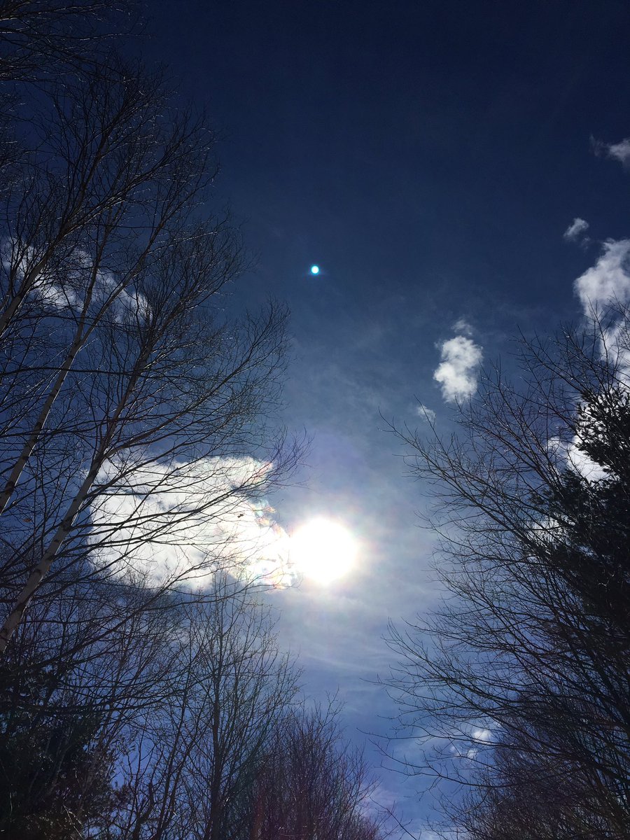 kimmicamm's tweet photo. Spring bliss! https://t.co/hkSaCporbj