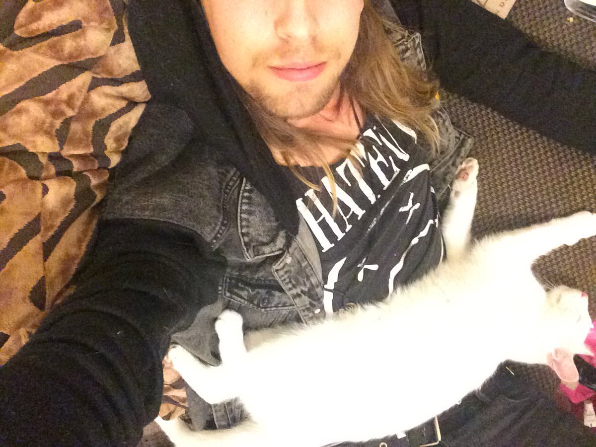 allWILLSin's tweet photo. Cat belt! 

#cat #ghost #kitten #cats #metal #goth #disturbia https://t.co/471zRiGTDx