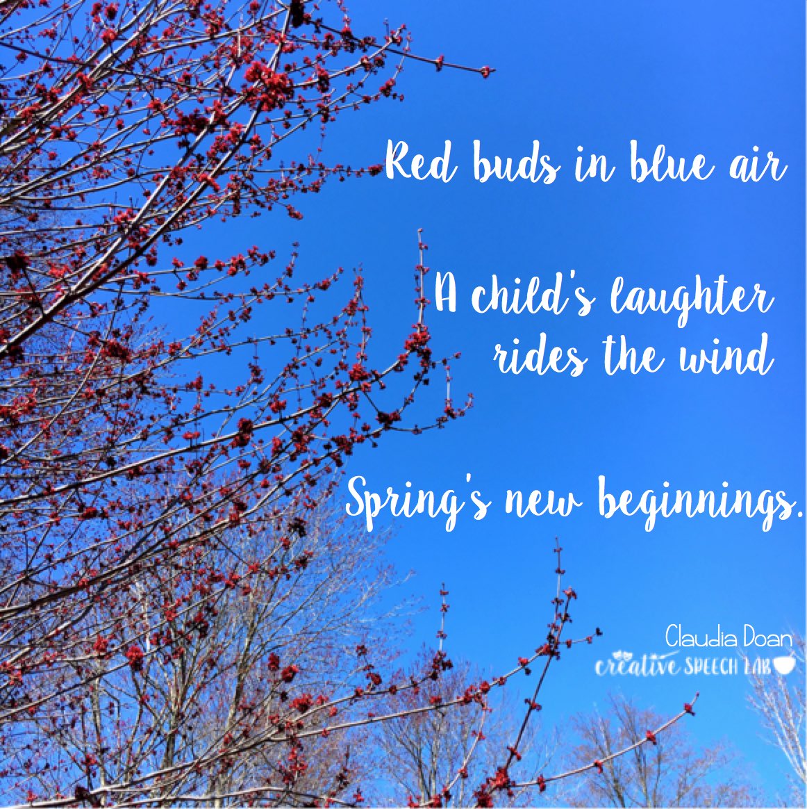 myspeechlab's tweet image. A little #haiku from me to you. #languageiseverywhere #springismyfavorite