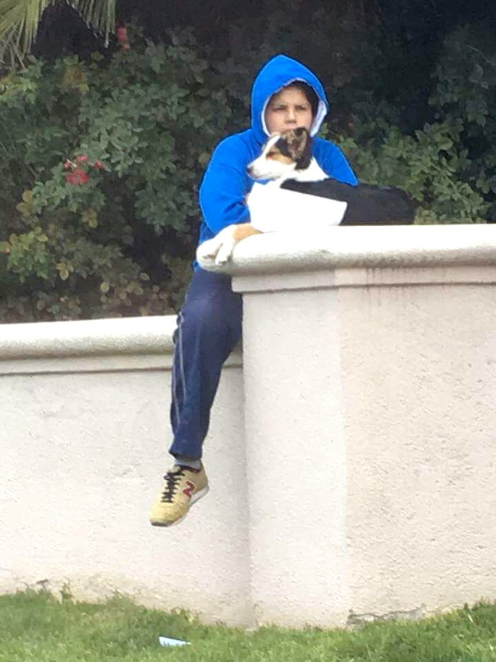 anitavmza's tweet photo. Mirá @valeriaschapira...en vez d estar jugando o en la pc, este bello niño mendocino pasa hs siempre buscando hogar p/perritos q encuentra. https://t.co/MPoLyPShWr