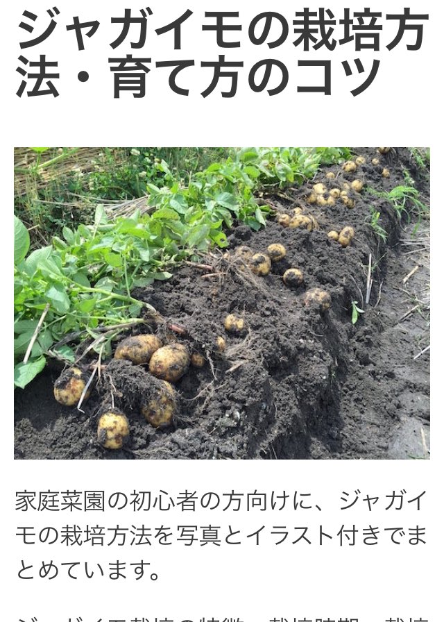ジャガイモ不足 Twitter Search