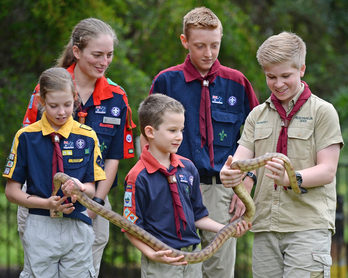 ScoutsQLD tweet media