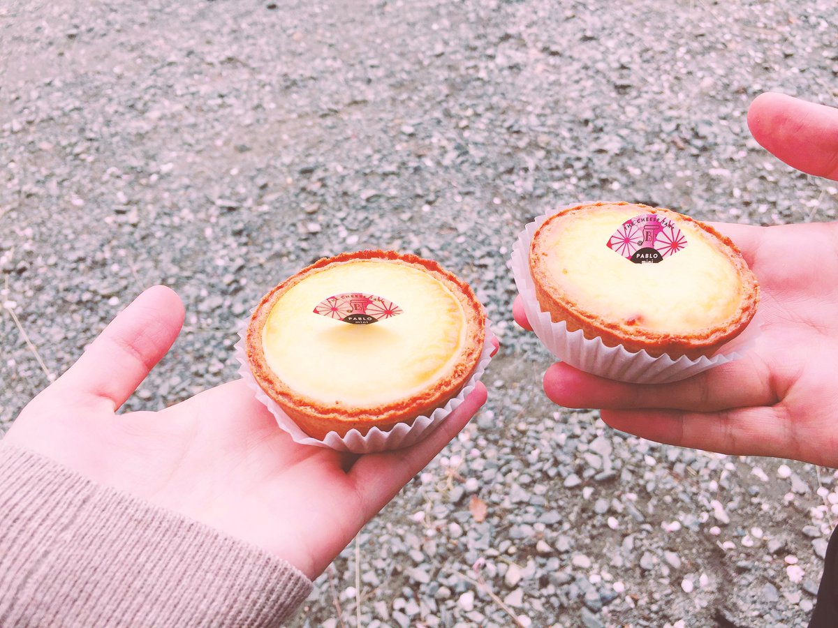 KyotoTimes's tweet photo. #桜
【見頃を迎えてます】
鴨川、木屋町、本願寺前の並木、桜が見頃を迎えています。桜と共に、円山公園近くのチーズタルト専門店PABLOのプレーンをいただきました🧀京都限定宇治抹茶味などもあります。中身がとろけます。

miniは200円ほどから https://t.co/kXiW7Rftdu