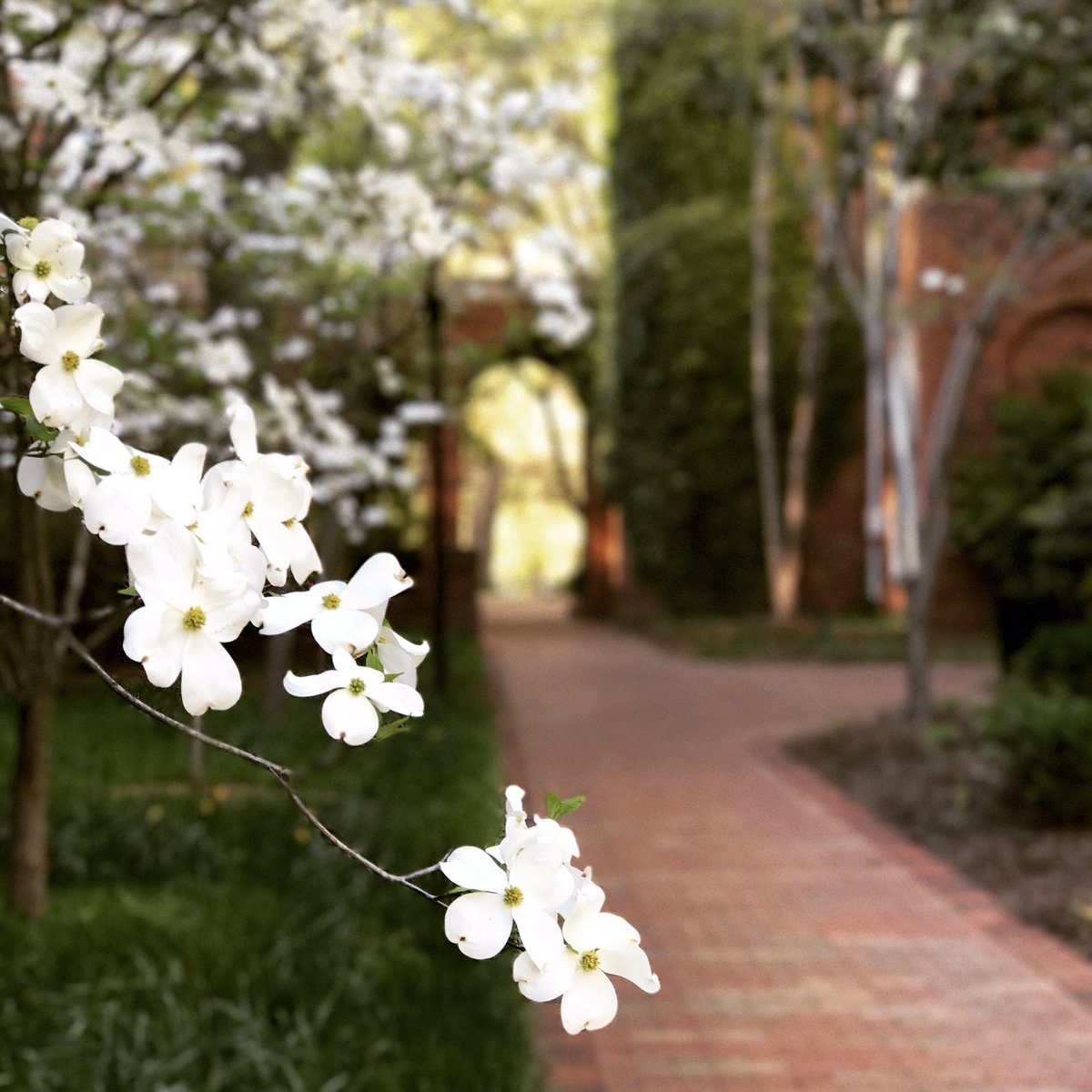 CarolineFount's tweet photo. Fantastic weekend at SPJ Regional Conference in Elon. Learned a lot and met so many great people.@spj_tweets @NC_SPJ @CharlotteSPJ #2017spj2 https://t.co/ZipZmjzG4R