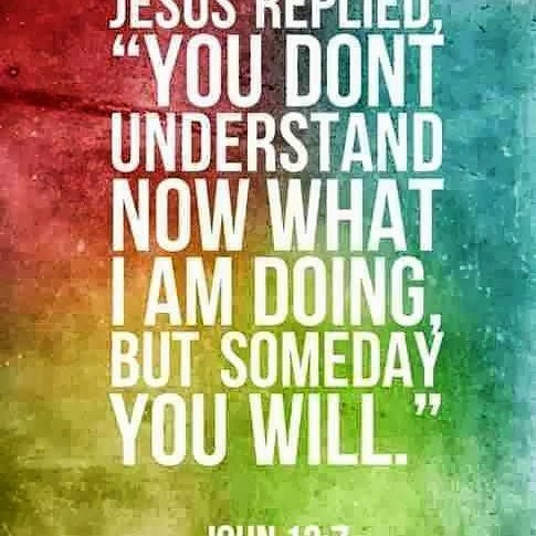 TruthInAction17's tweet image. 