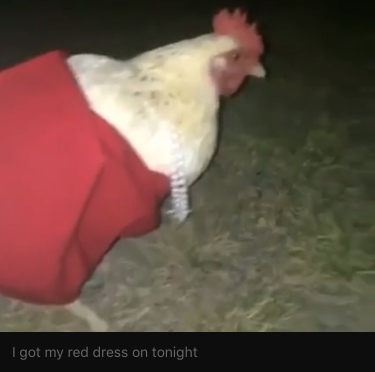 Peter (@peterds_) on Twitter photo 