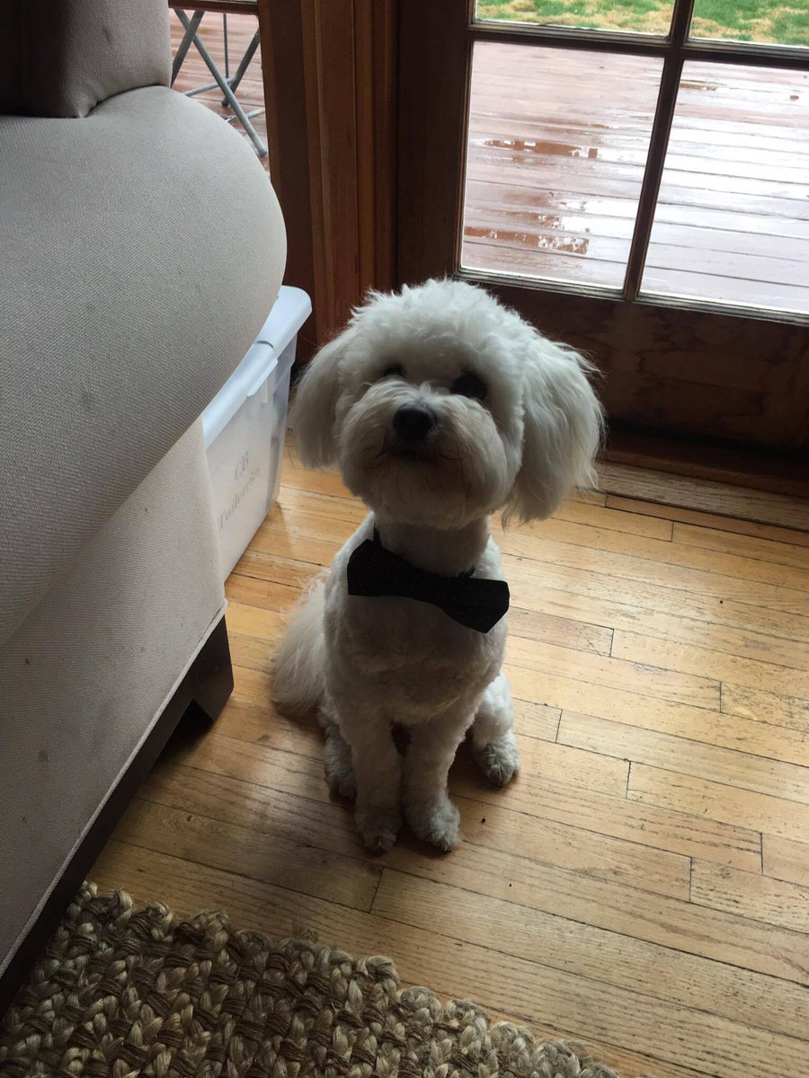 Henry2theRescue's tweet photo. Back at it again with the charm! #Rescuelife #Ladykiller https://t.co/36LMkkNkGd