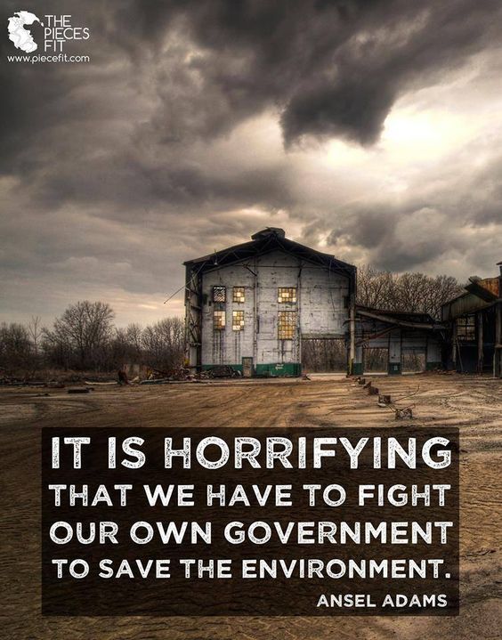 "It is horrifying that we have to fight our own government to save the environment." A. Adams. #Climate #cdnpoli #NoKXL #DumpKM #WaterIsLife